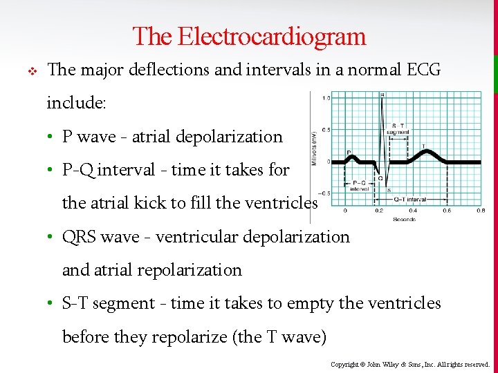 The Electrocardiogram v The major deflections and intervals in a normal ECG include: •