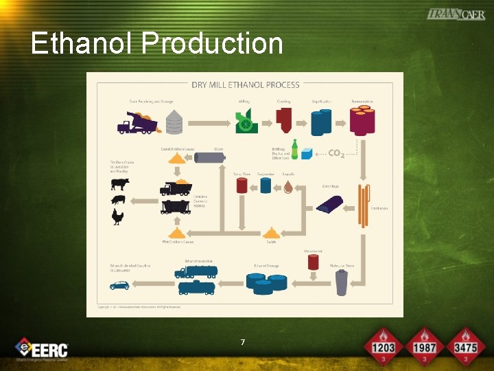 Ethanol Production 7 