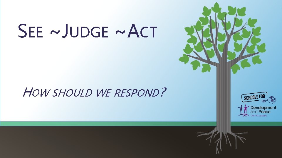 SEE ~JUDGE ~ACT HOW SHOULD WE RESPOND? 