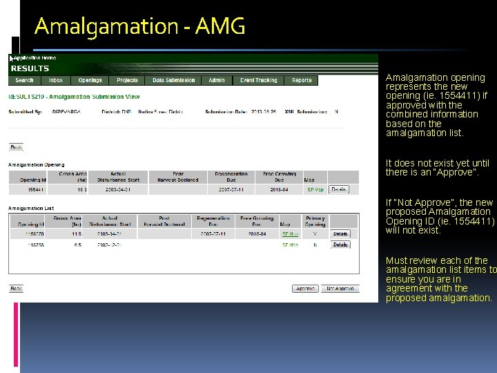 Amalgamation - AMG Amalgamation opening represents the new opening (ie. 1554411) if approved with
