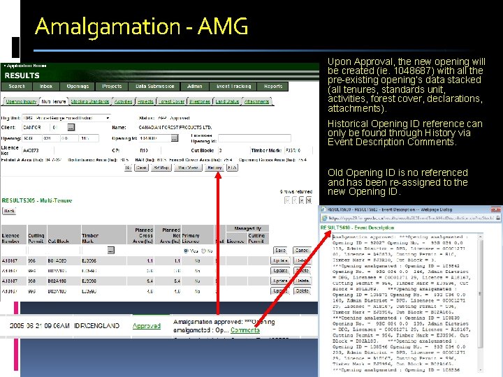 Amalgamation - AMG Upon Approval, the new opening will be created (ie. 1048687) with