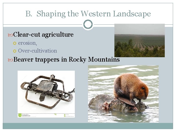 B. Shaping the Western Landscape Clear-cut agriculture erosion, Over-cultivation Beaver trappers in Rocky Mountains