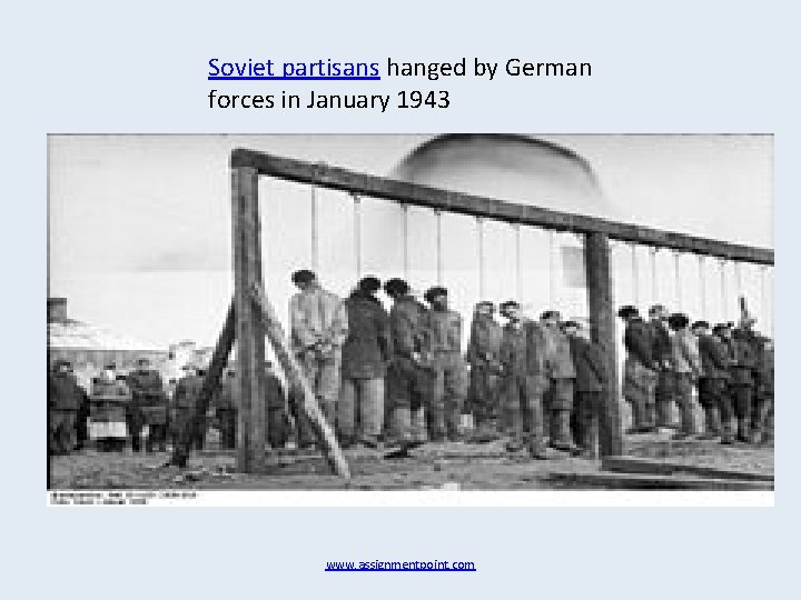 Soviet partisans hanged by German forces in January 1943 www. assignmentpoint. com 