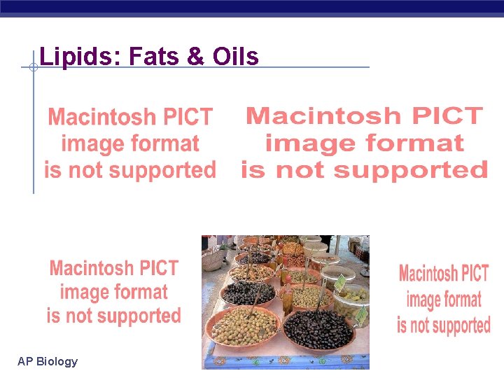 Lipids: Fats & Oils AP Biology 