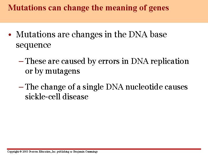 Mutations can change the meaning of genes • Mutations are changes in the DNA