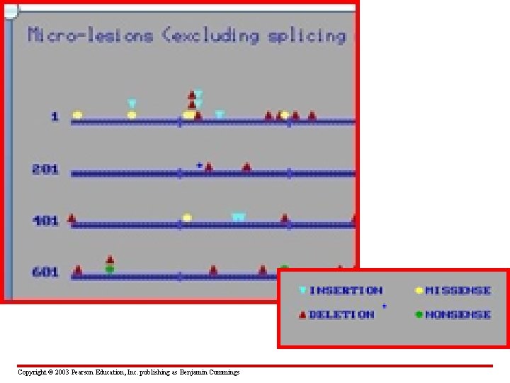 Copyright © 2003 Pearson Education, Inc. publishing as Benjamin Cummings 