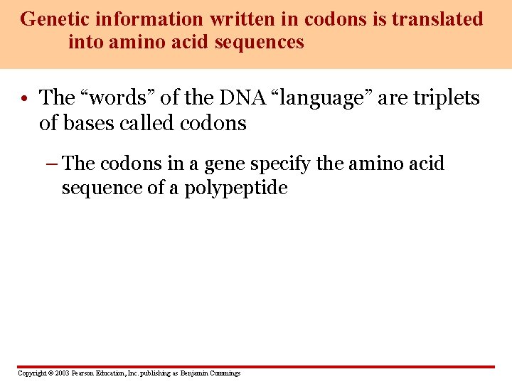 Genetic information written in codons is translated into amino acid sequences • The “words”