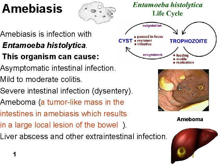 Amebiasis is infection with Entamoeba histolytica. This organism can cause: Asymptomatic intestinal infection. Mild