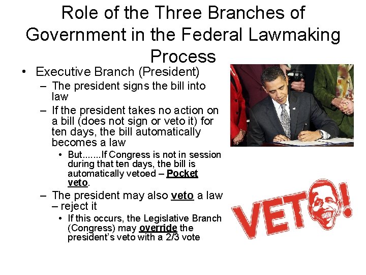Role of the Three Branches of Government in the Federal Lawmaking Process • Executive