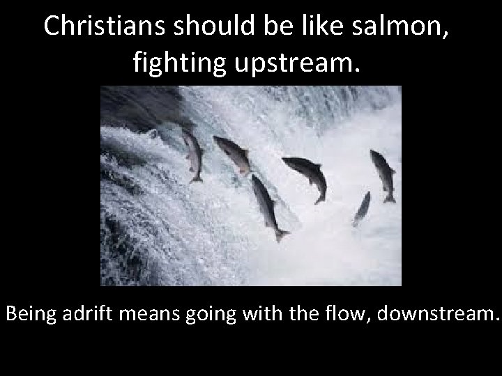 Christians should be like salmon, fighting upstream. Being adrift means going with the flow,