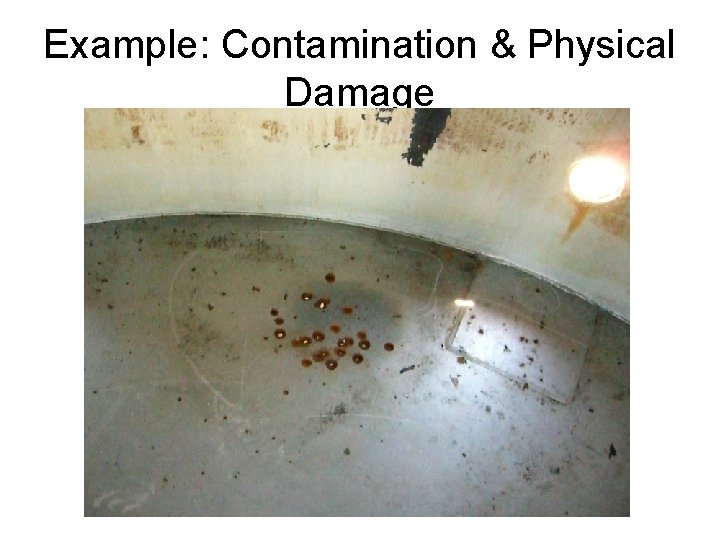 Example: Contamination & Physical Damage 