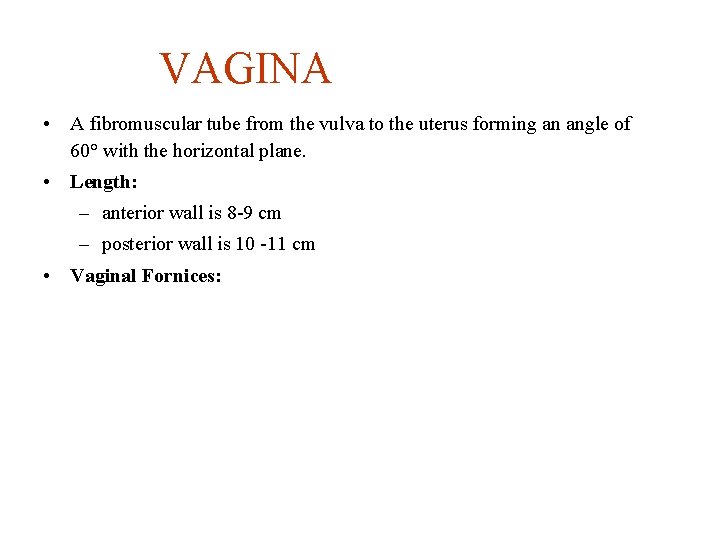 VAGINA • A fibromuscular tube from the vulva to the uterus forming an angle