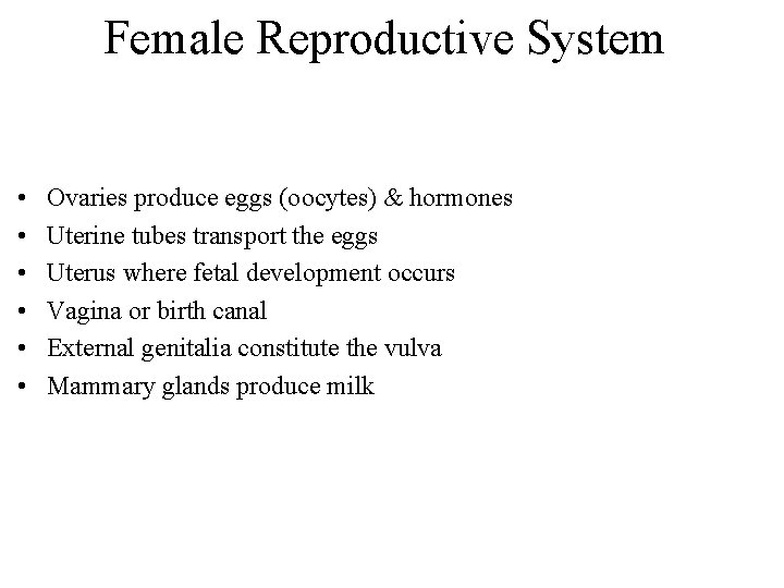 Female Reproductive System • • • Ovaries produce eggs (oocytes) & hormones Uterine tubes