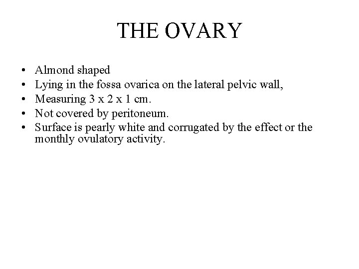 THE OVARY • • • Almond shaped Lying in the fossa ovarica on the