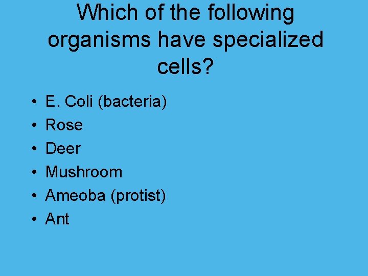 Which of the following organisms have specialized cells? • • • E. Coli (bacteria)