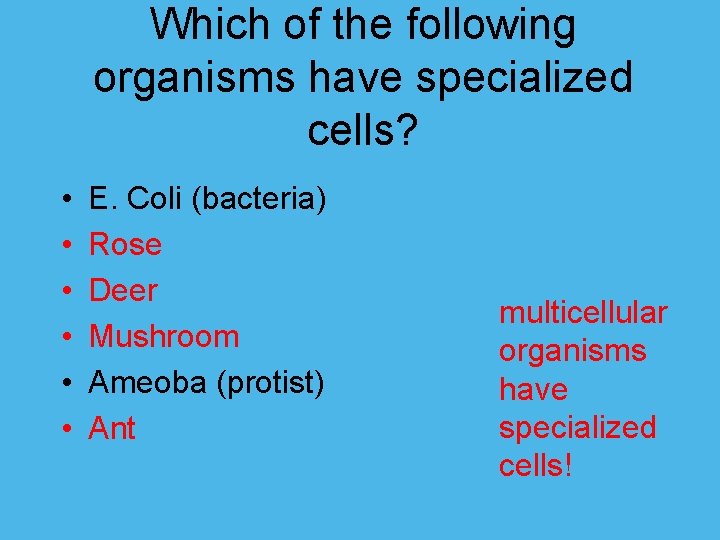 Which of the following organisms have specialized cells? • • • E. Coli (bacteria)