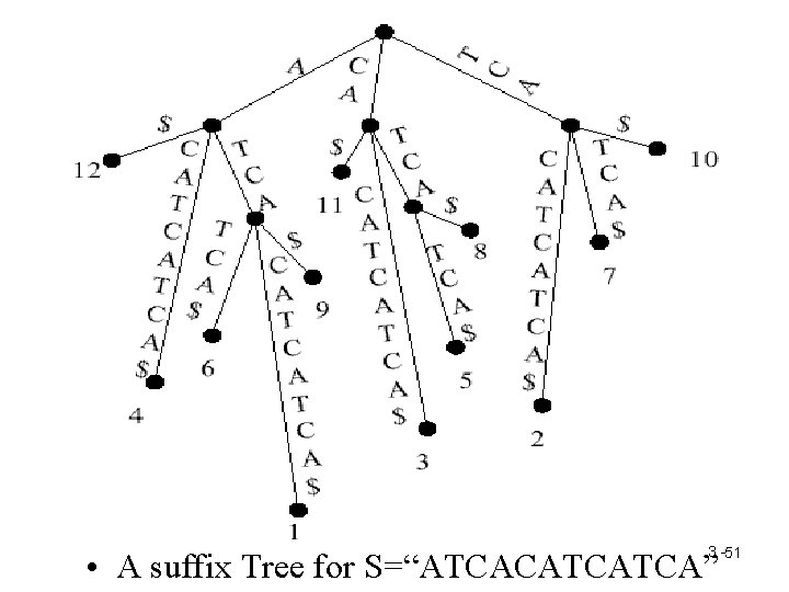 3 -51 • A suffix Tree for S=“ATCACATCATCA” 