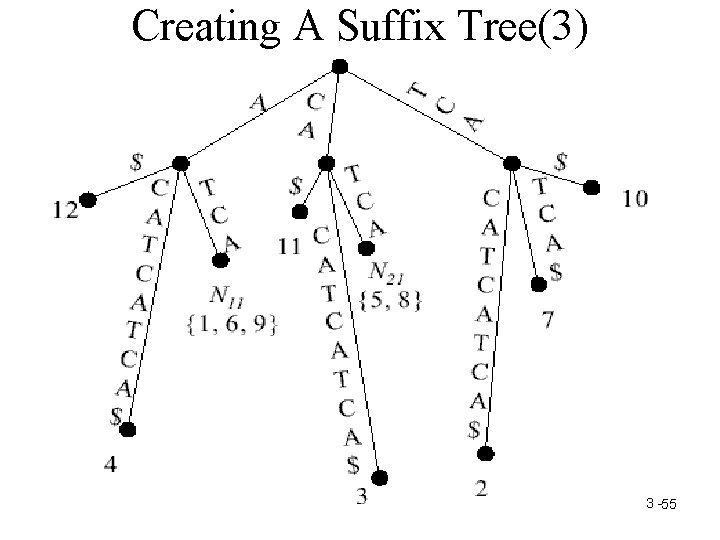 Creating A Suffix Tree(3) 3 -55 