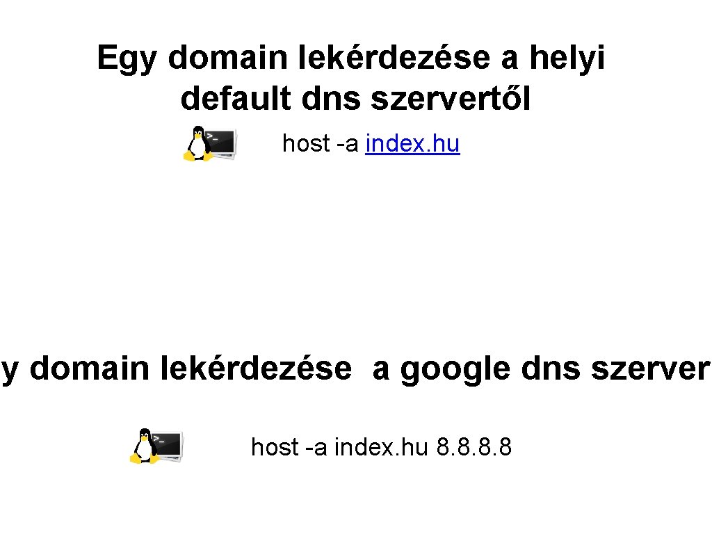 Egy domain lekérdezése a helyi default dns szervertől host -a index. hu gy domain