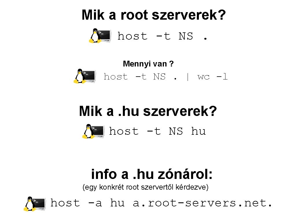 Mik a root szerverek? host -t NS. Mennyi van ? host -t NS. |