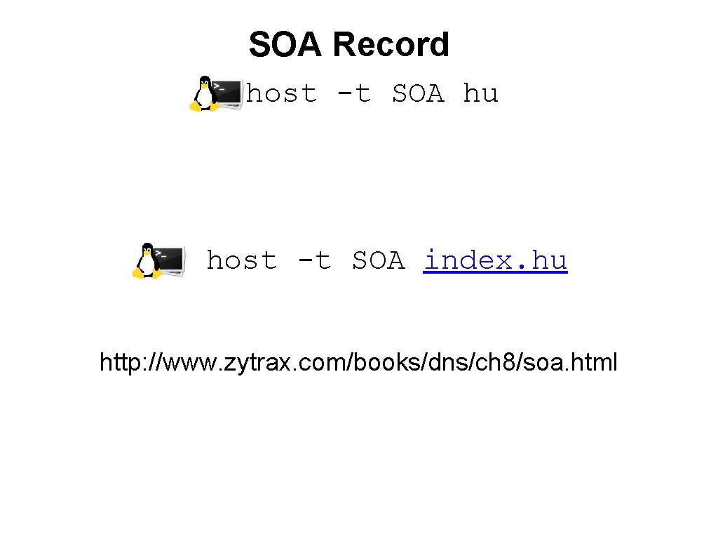SOA Record host -t SOA hu host -t SOA index. hu http: //www. zytrax.