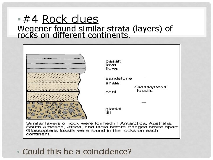  • #4 Rock clues Wegener found similar strata (layers) of rocks on different