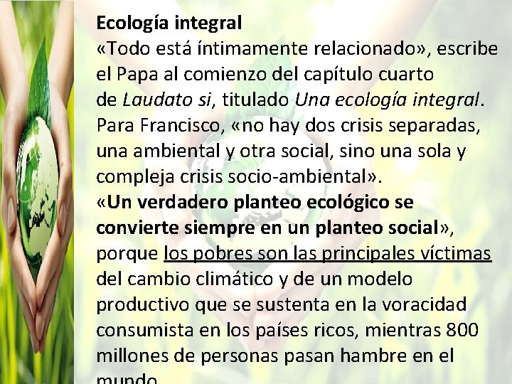 Ecología integral «Todo está íntimamente relacionado» , escribe el Papa al comienzo del capítulo