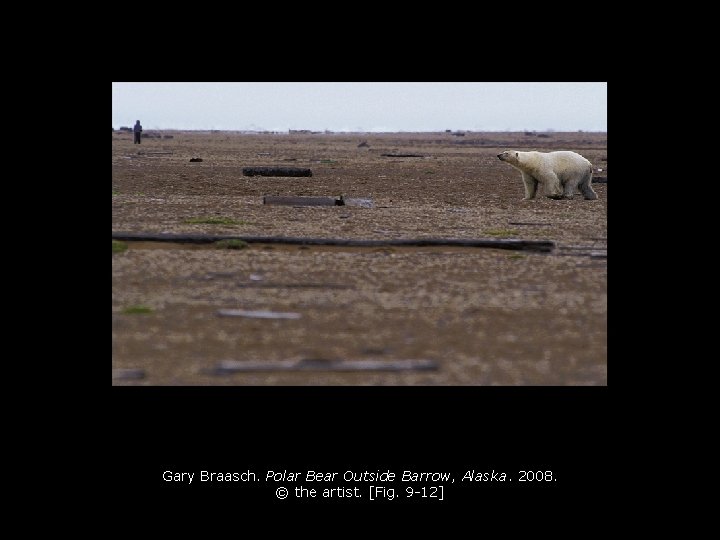 Gary Braasch. Polar Bear Outside Barrow, Alaska. 2008. © the artist. [Fig. 9 -12]