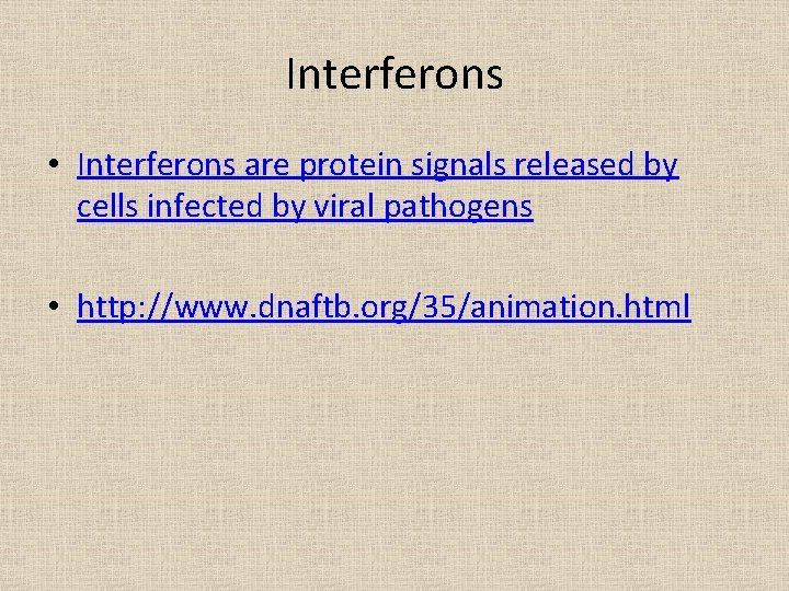Interferons • Interferons are protein signals released by cells infected by viral pathogens •