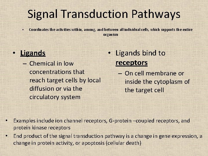 Signal Transduction Pathways • Coordinates the activities within, among, and between all individual cells,