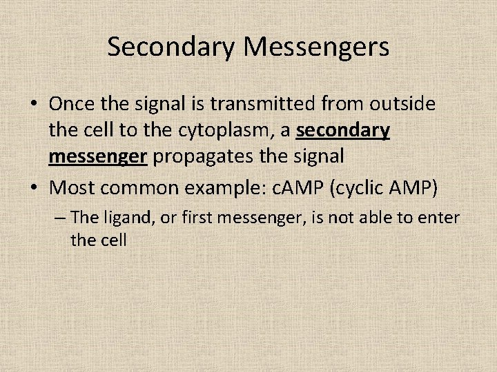 Secondary Messengers • Once the signal is transmitted from outside the cell to the