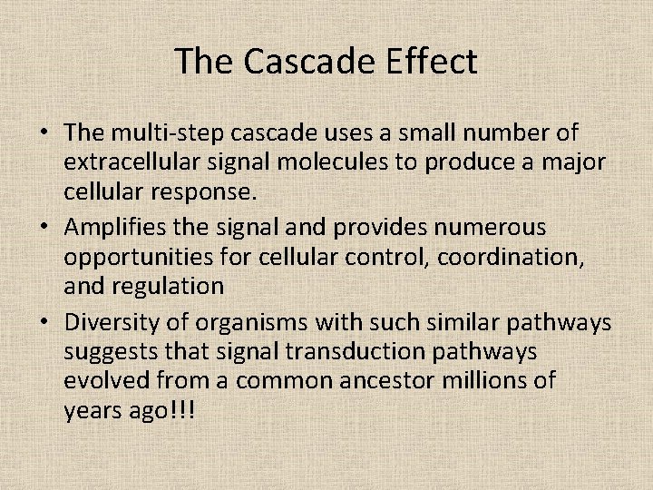 The Cascade Effect • The multi-step cascade uses a small number of extracellular signal