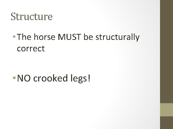 Structure • The horse MUST be structurally correct • NO crooked legs! 