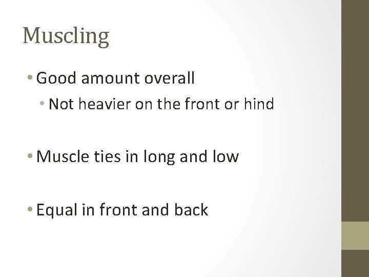 Muscling • Good amount overall • Not heavier on the front or hind •