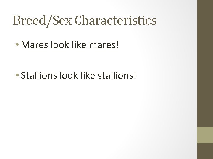 Breed/Sex Characteristics • Mares look like mares! • Stallions look like stallions! 