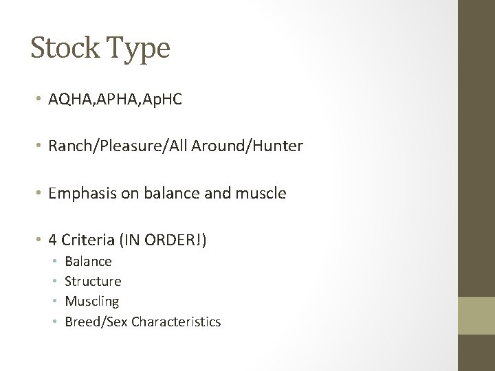 Stock Type • AQHA, APHA, Ap. HC • Ranch/Pleasure/All Around/Hunter • Emphasis on balance