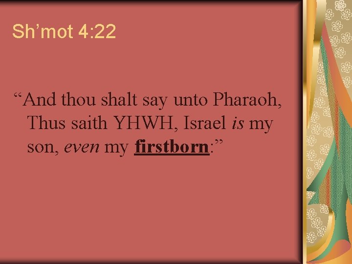 Sh’mot 4: 22 “And thou shalt say unto Pharaoh, Thus saith YHWH, Israel is