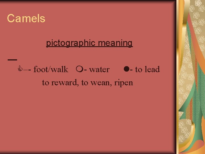 Camels pictographic meaning C– - foot/walk m- water l- to lead to reward, to