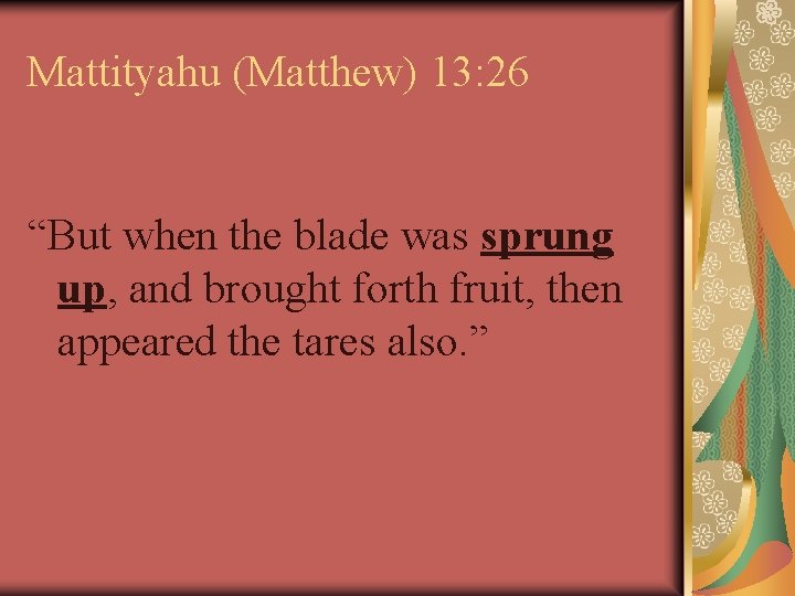Mattityahu (Matthew) 13: 26 “But when the blade was sprung up, and brought forth