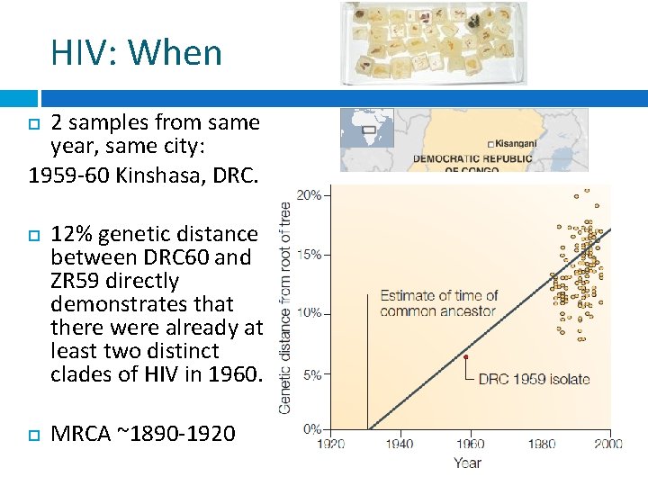 HIV: When 2 samples from same year, same city: 1959 -60 Kinshasa, DRC. 12%