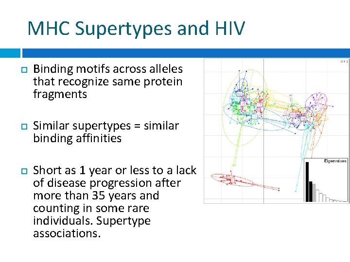 MHC Supertypes and HIV Binding motifs across alleles that recognize same protein fragments Similar