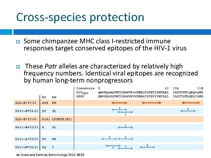 Cross-species protection Some chimpanzee MHC class I-restricted immune responses target conserved epitopes of the
