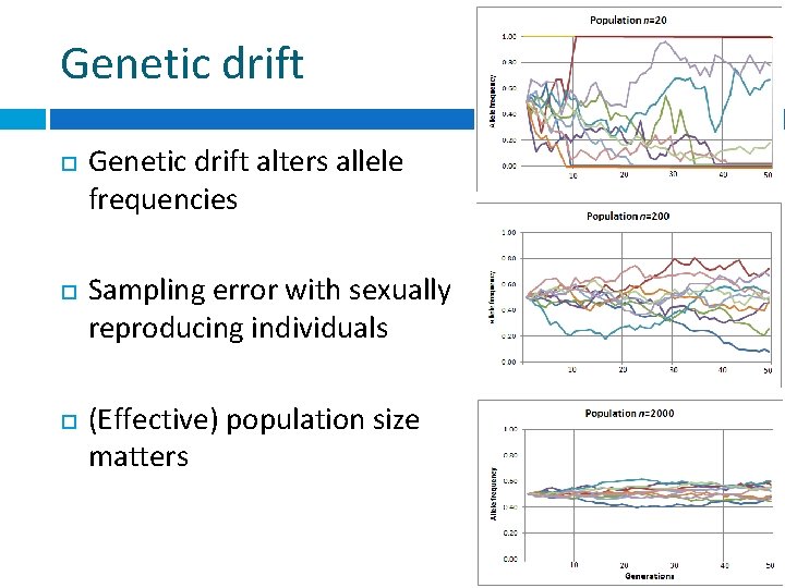 Genetic drift Genetic drift alters allele frequencies Sampling error with sexually reproducing individuals (Effective)