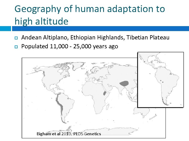 Geography of human adaptation to high altitude Andean Altiplano, Ethiopian Highlands, Tibetian Plateau Populated