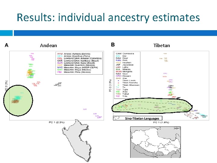 Results: individual ancestry estimates Andean Tibetan 