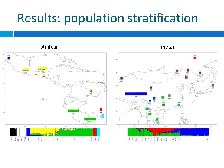 Results: population stratification Andean Tibetan 