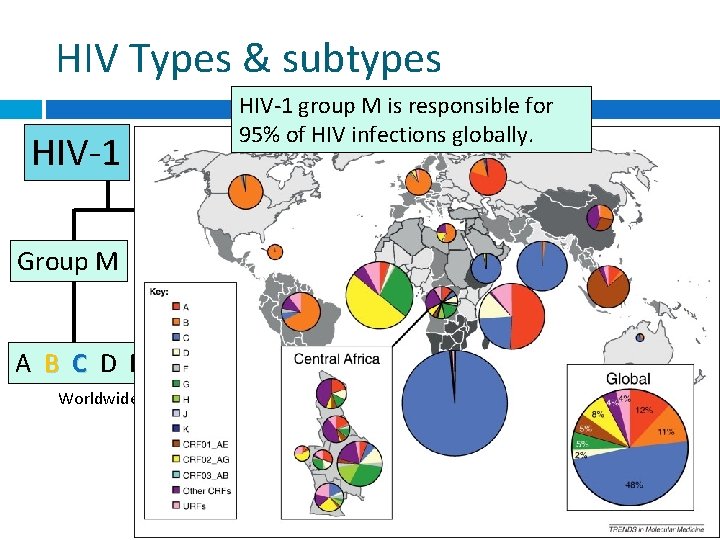HIV Types & subtypes HIV-1 group M is responsible for 95% of HIV infections