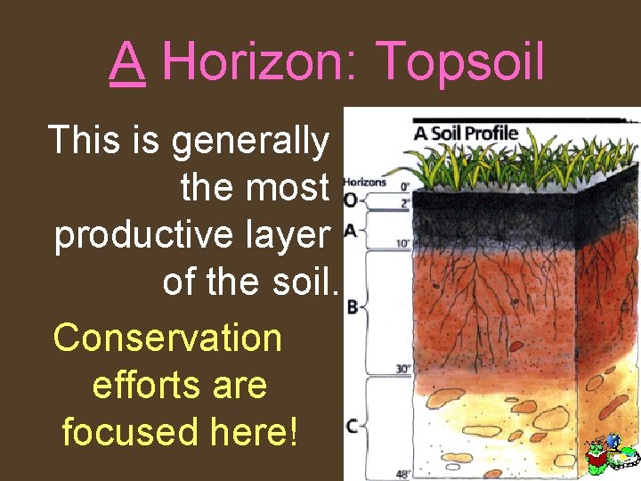 A Horizon: Topsoil This is generally the most productive layer of the soil. Conservation