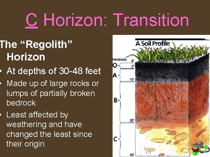 C Horizon: Transition The “Regolith” Horizon • At depths of 30 -48 feet •