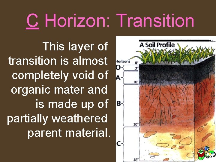 C Horizon: Transition This layer of transition is almost completely void of organic mater